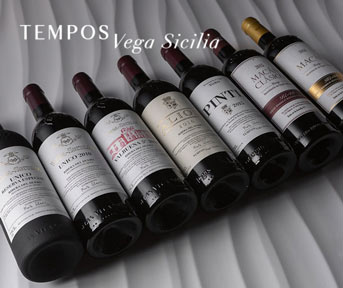 Tempos Vega Sicilia Group